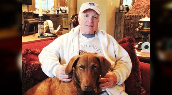 The Late John McCain’s Family Heartbroken After His Dog Dies In ‘Tragic Accident’