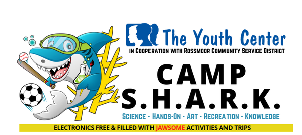 Camp Shark for 2021