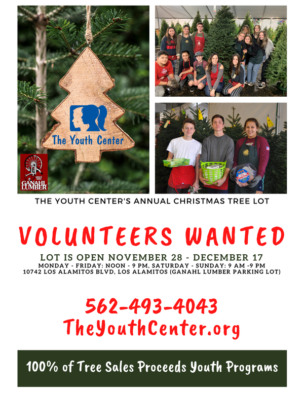 Volunteer at the Youth Center Tree Lot