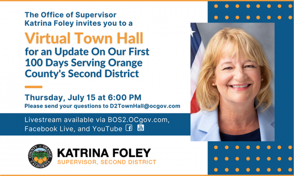 Foley 100 Day - Virtual Town Hall