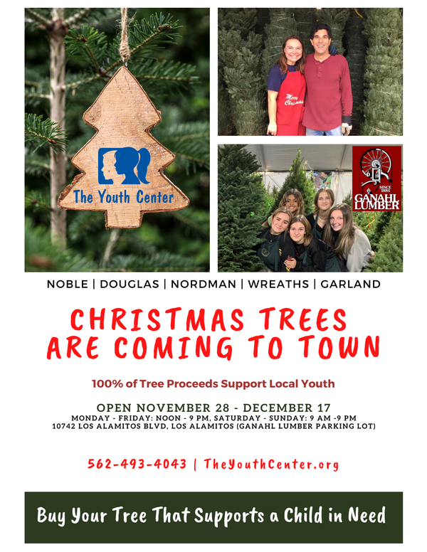 The Youth Center Tree Lot