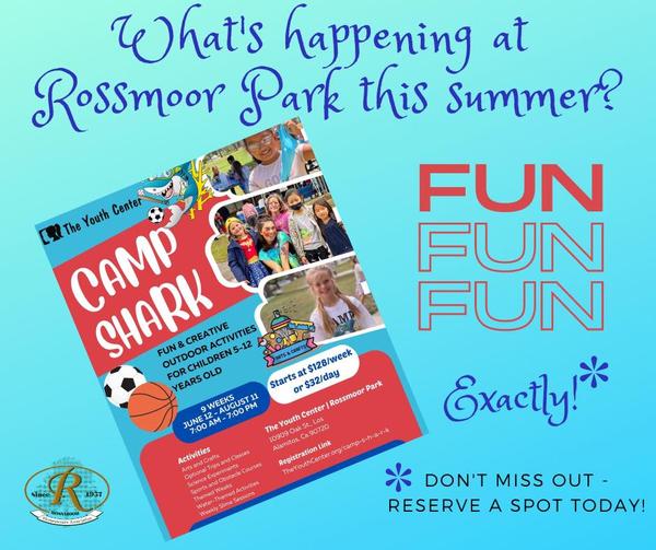 Camp Shark is open!