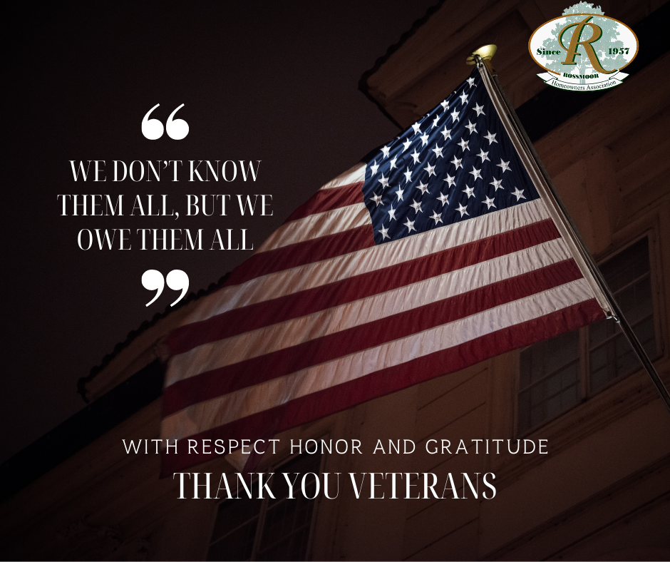 Honoring Vets on Veterans Day