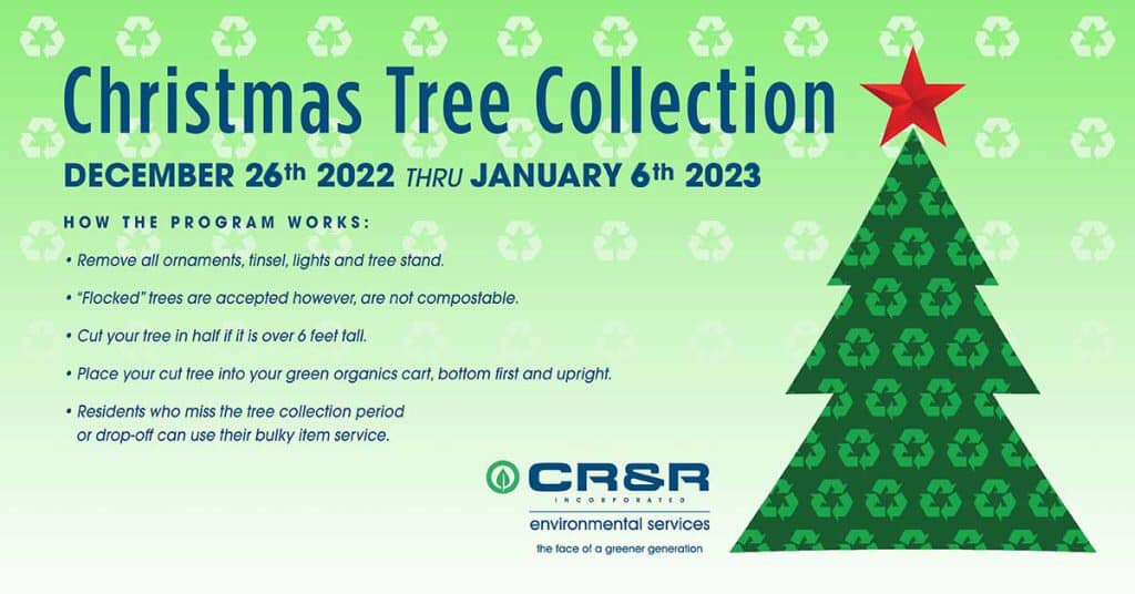 Christmas Tree Collection