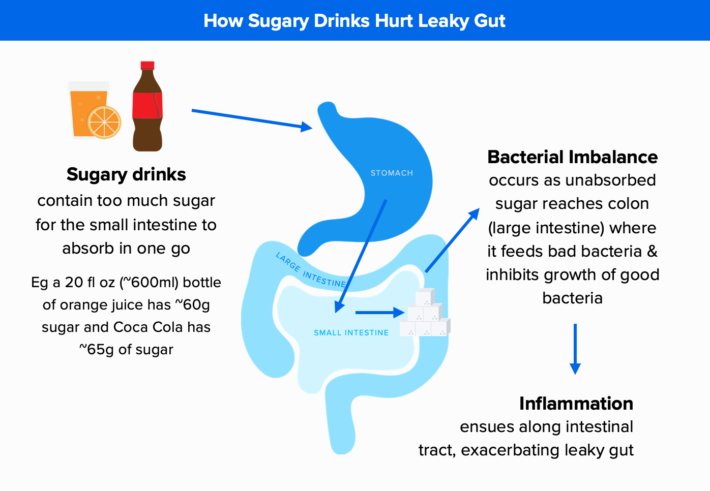 Sugary drinks leaky gut