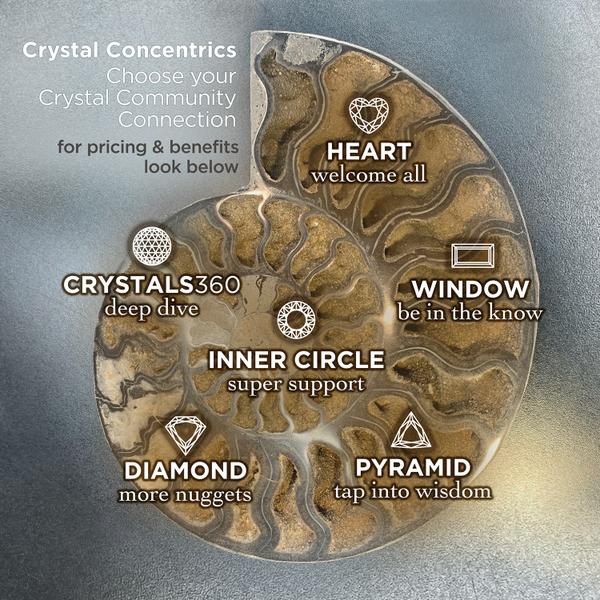 Crystal Concentrics membership options