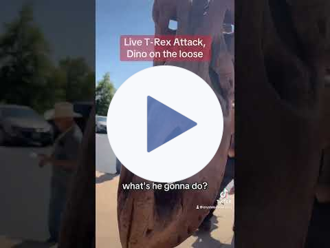 T-Rex Dino Attack LIVE (#animatronic #dinosaur #gemshow #fossils)