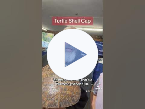 Turtle Cap Awesomeness (Gem Show Convos) #crystals #reptiles #hats