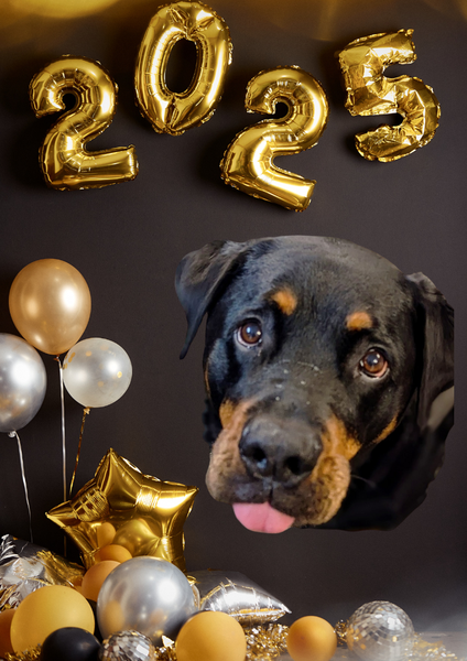 2025 balloons with happy rottwieler