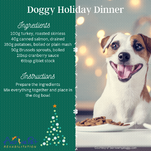 Doggy Christmas Dinner