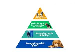 Pets Best Life Pyramid