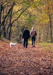 family walking their dog under shady trees