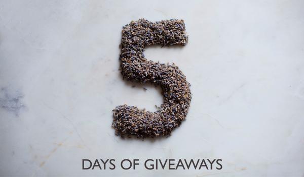 Enter the 5 Days of Giveaways!