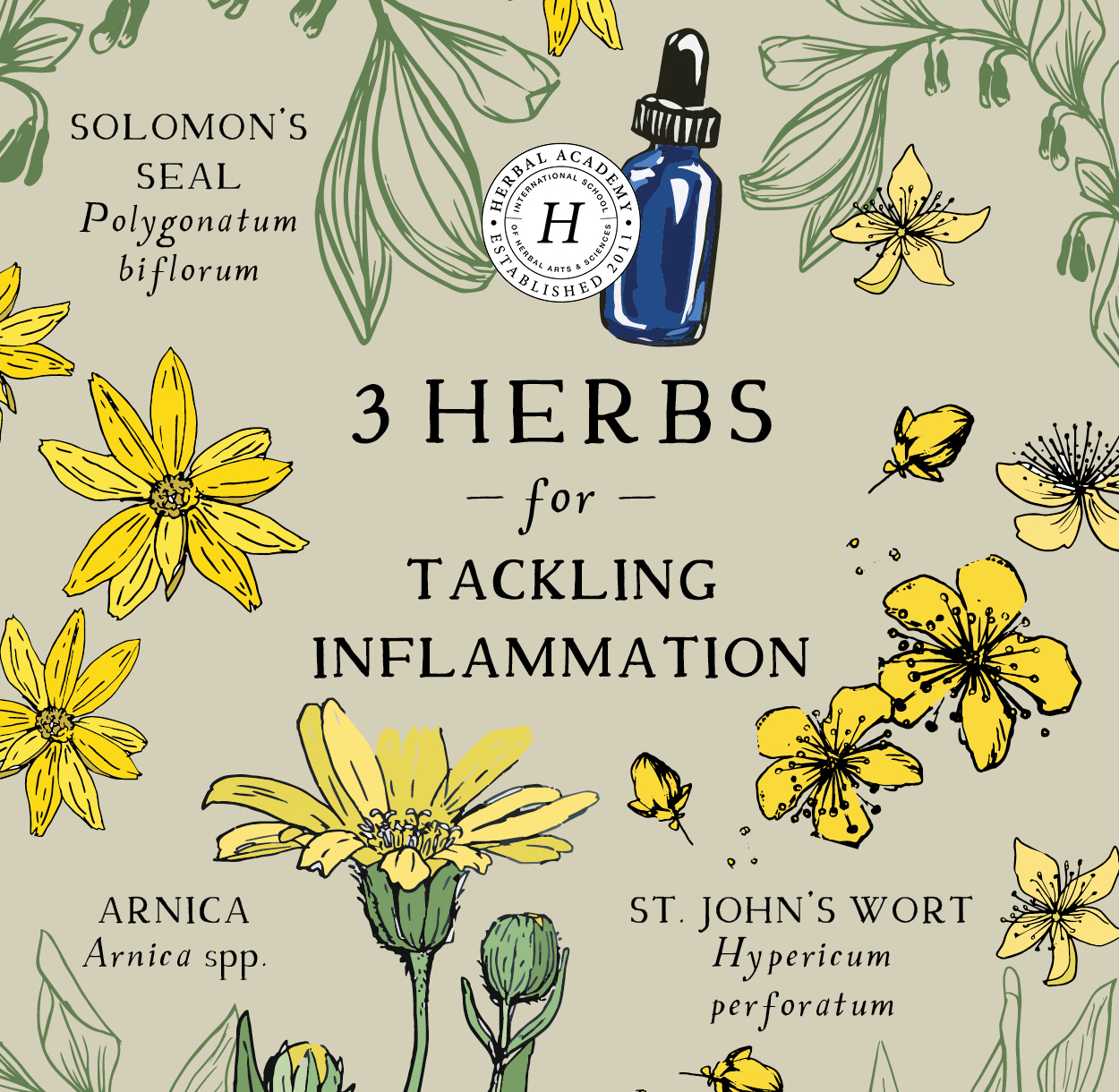 3 Herbs for Inflammation