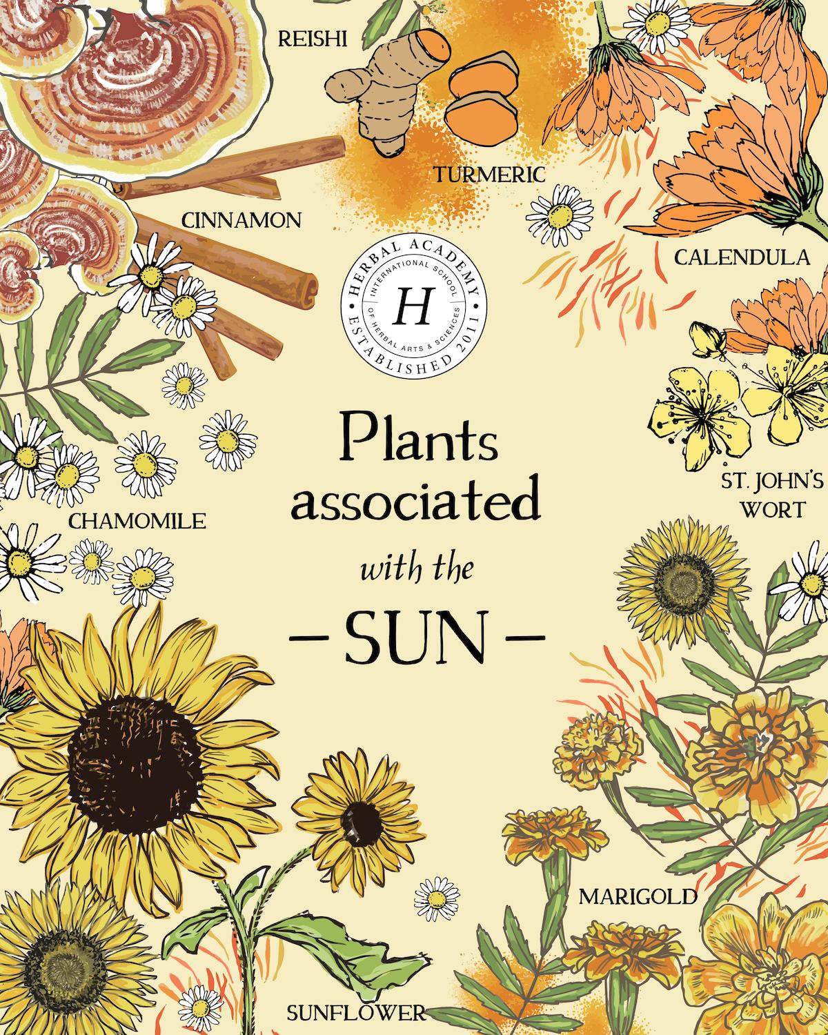 Herbs of the Sun