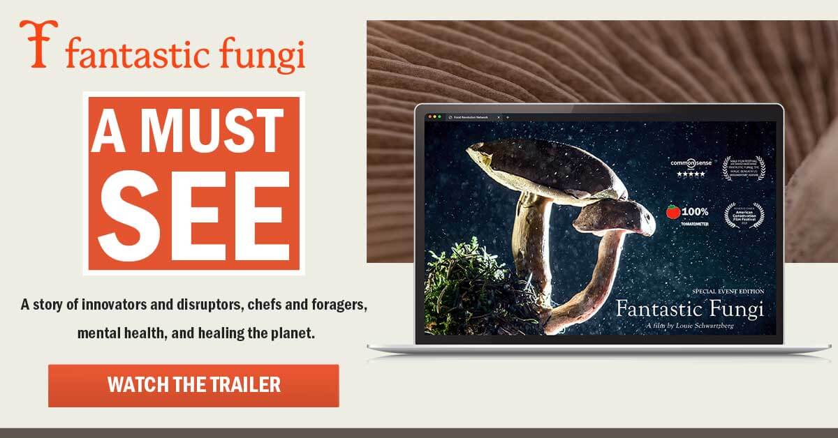 Fantastic Fungi Movie
