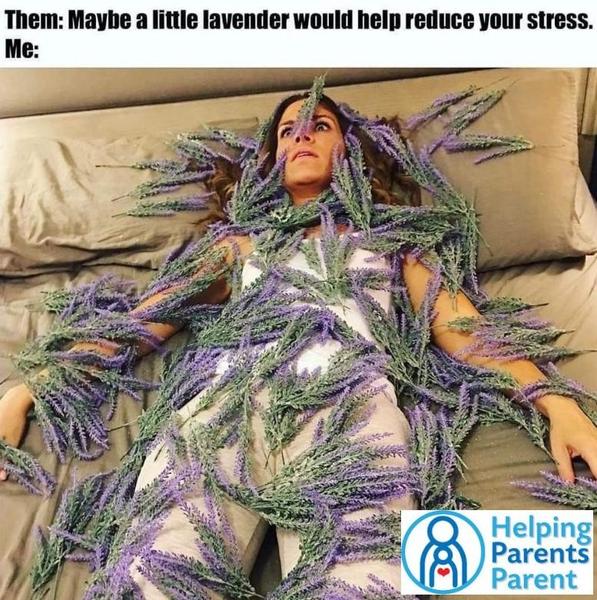 Them: Maybe a little lavender would help reduce your stress.  Me: (Image of woman covered in lavender)