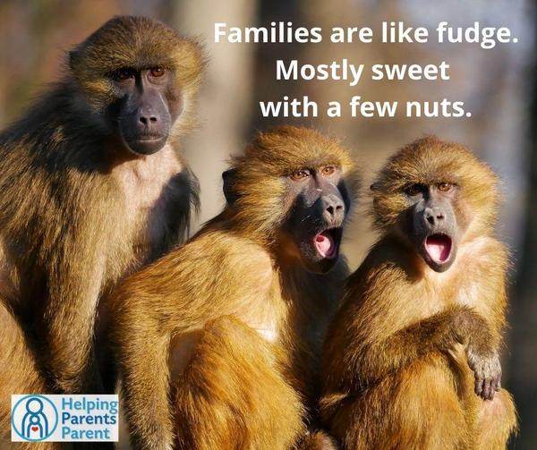   Families are like fudge.  Mostly sweet with a few nuts. (Image of silly monkeys)