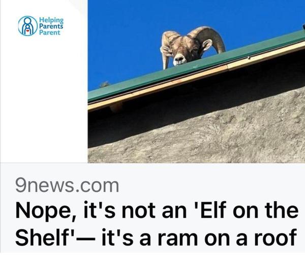 Nope, it's not an 'Elf on the Shelf' - it's a Ram on a Roof (that's how we do things in Colorado!)