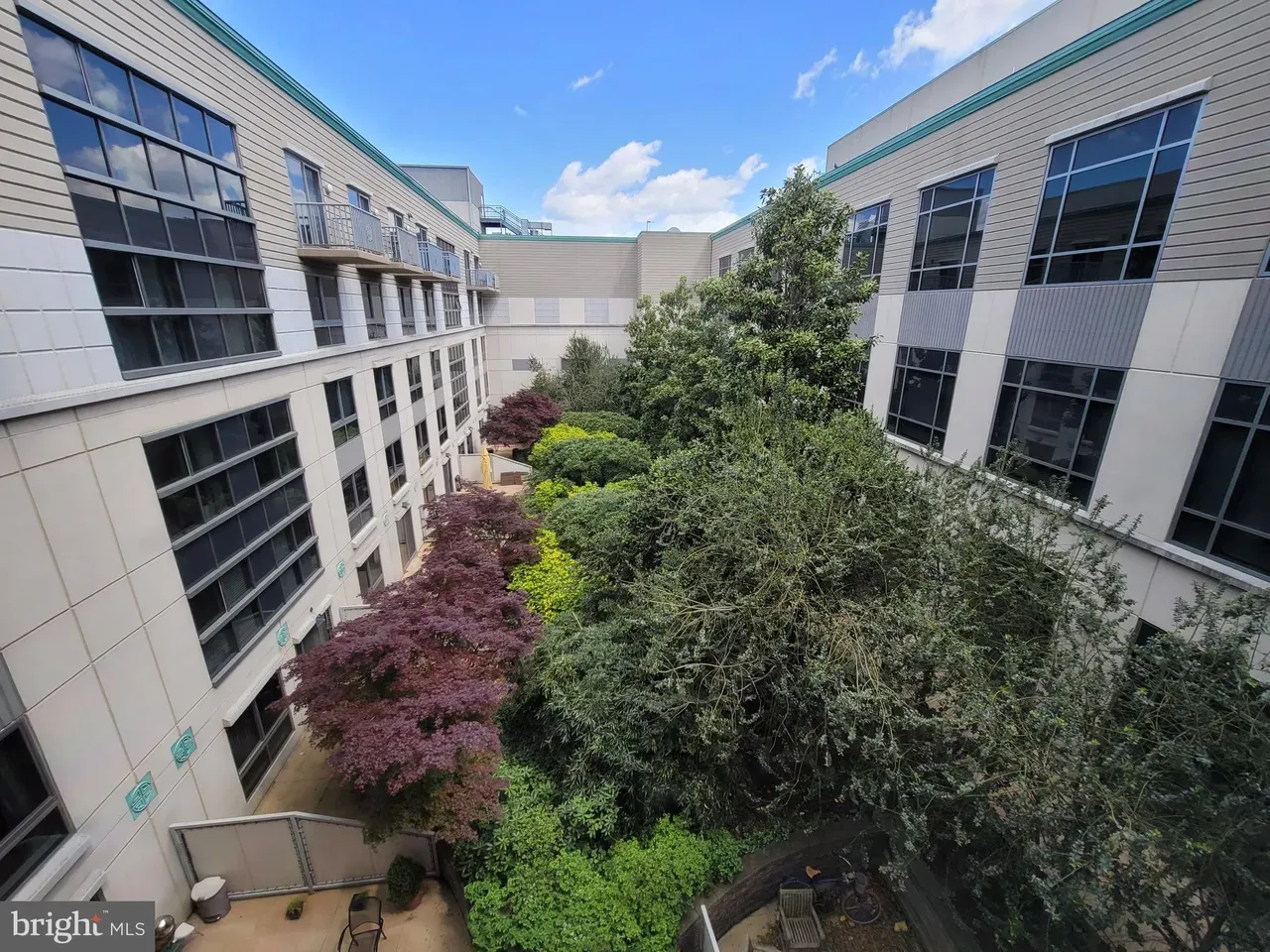 Private courtyard garden with mature trees and landscaping