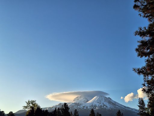 Mount Shasta landscape