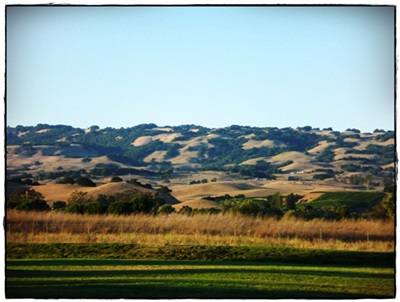 petaluma august light