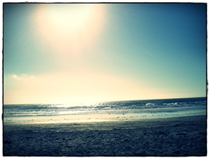 part of a secret wish