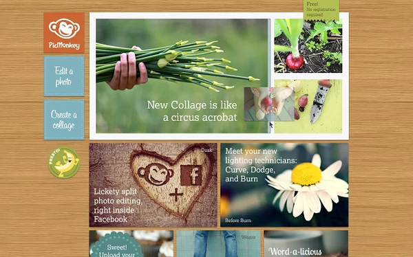 PicMonkey Video Tutorial
