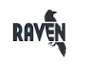 Raven Tools