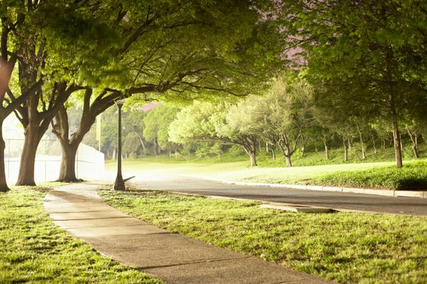 Our Rossmoor 