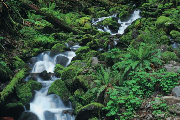 water in the mountains