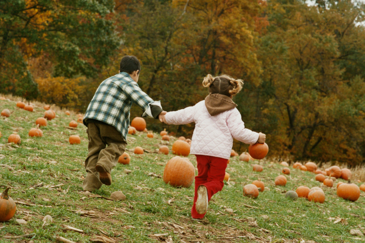 Preserving Your Pumpkin Harvest
