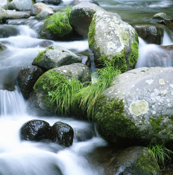 water in a creek