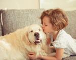 Vestibular dog