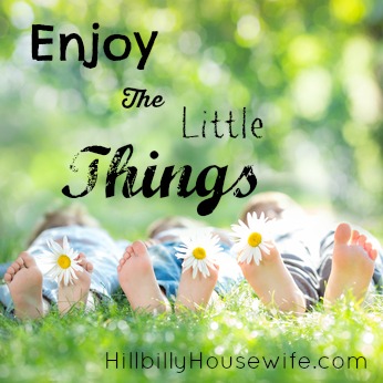 Enjoy The Little Things