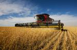 You Reap What You Sow: Creating an Environment of Accountability