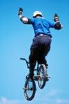 Agile Project Management