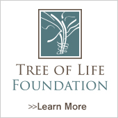 Tree of Life Foundation