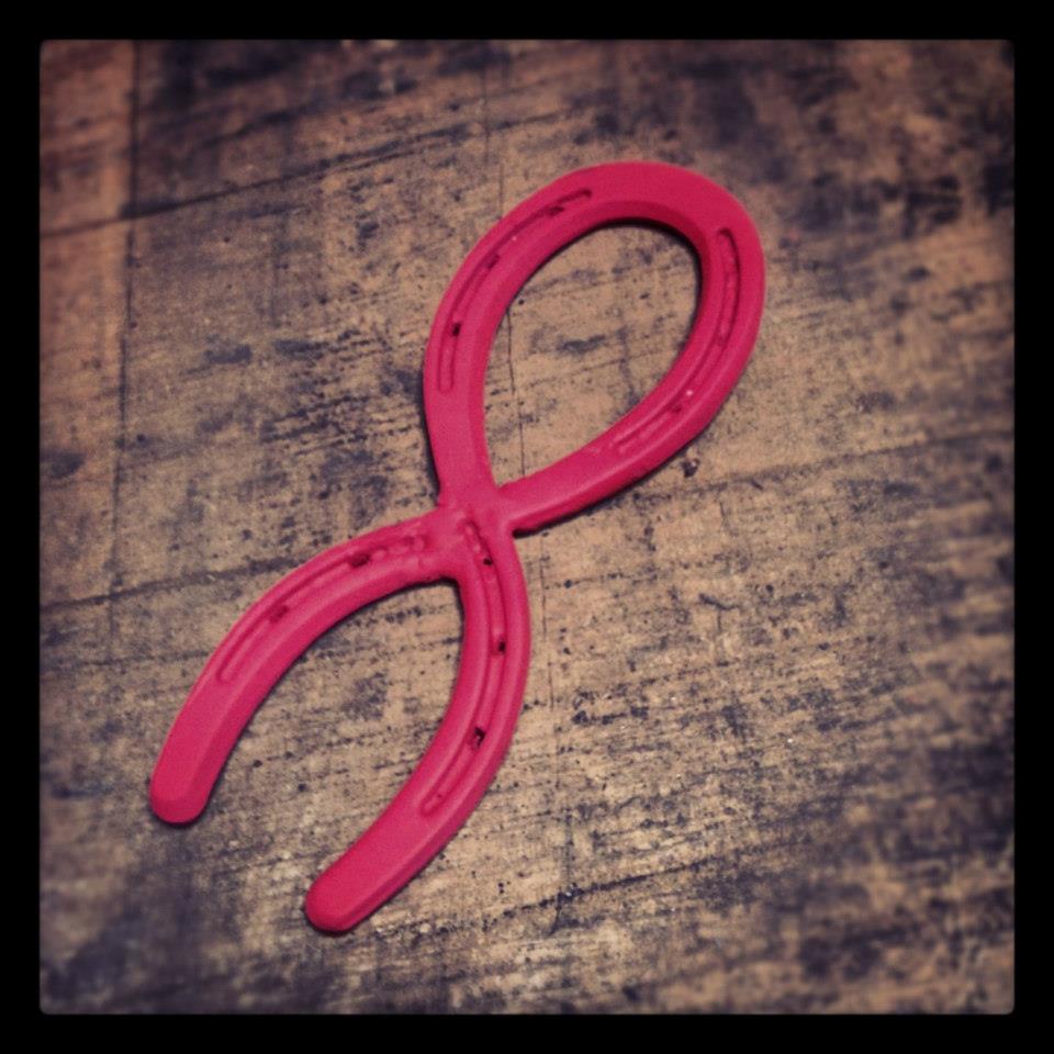 Breast Cancer Pink Ribbon Horseshoe