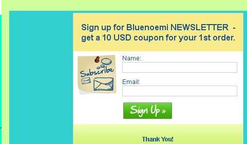 Subscribe to Bluenoemi newsletter 