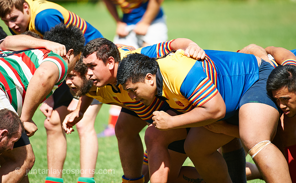 Tawa Rugby Football Club