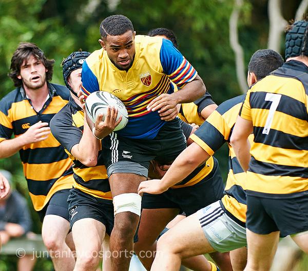 Tawa Rugby Football Club