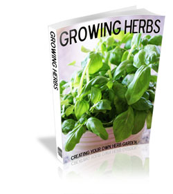 Growing Herbs E-Book