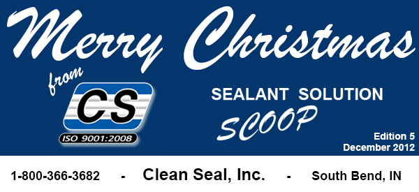 Clean Seal, Inc. Newsletter