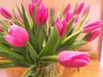 Tulips Special starting at $15