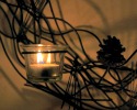 Pinecone Candlelight