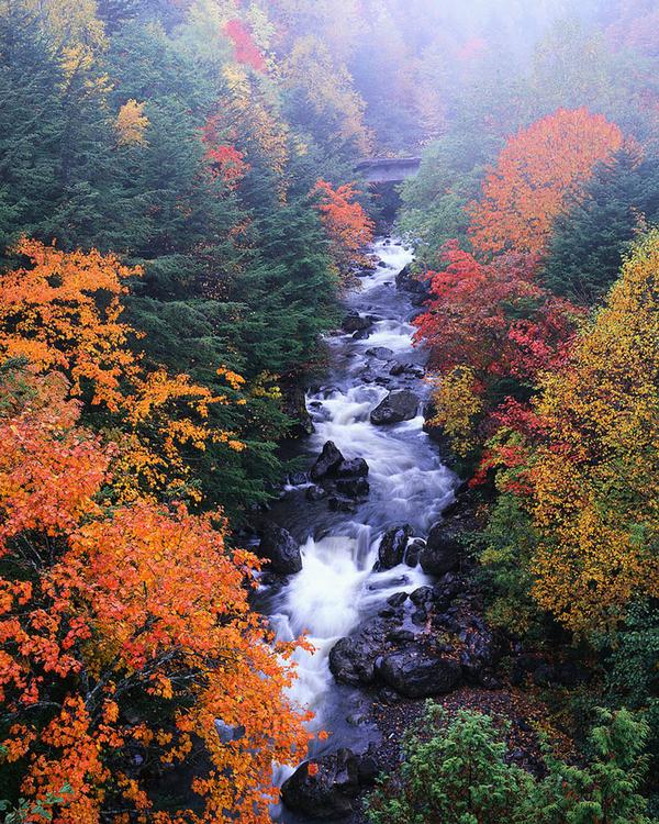 Fall Rushing River