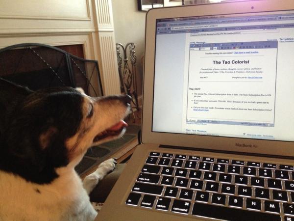 Chester: The Tao Canine (and Copyeditor)