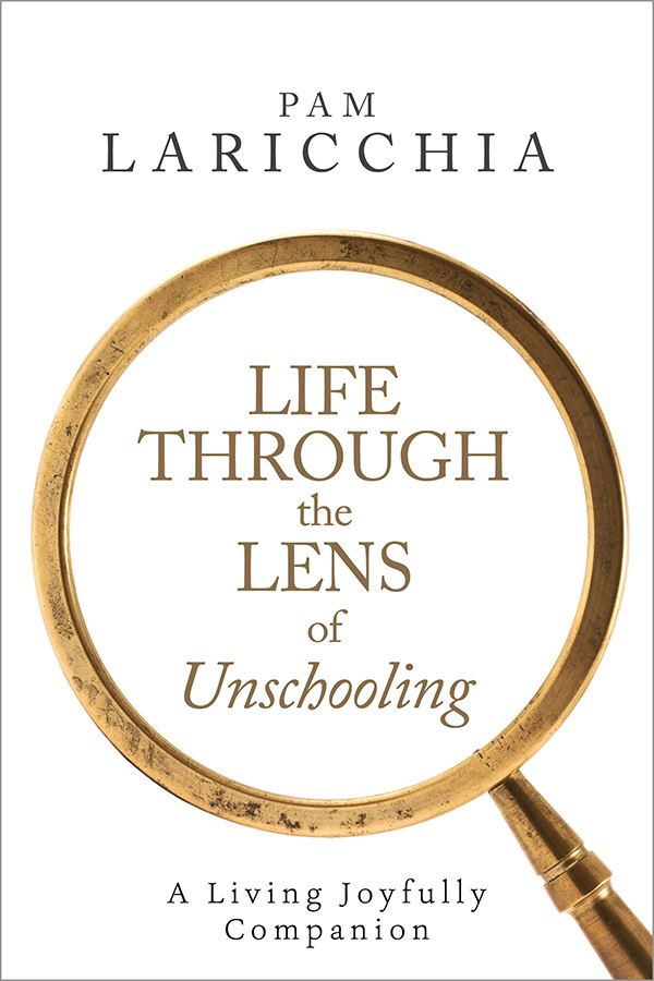 Life through the Lens of Unschooling book cover